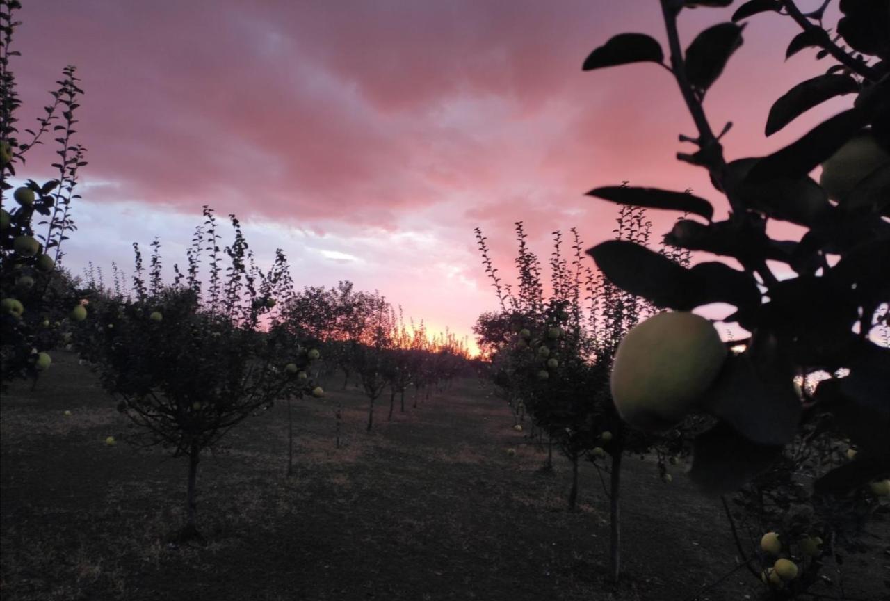 Salas Farma 47-Miris Dunja Cenej ภายนอก รูปภาพ