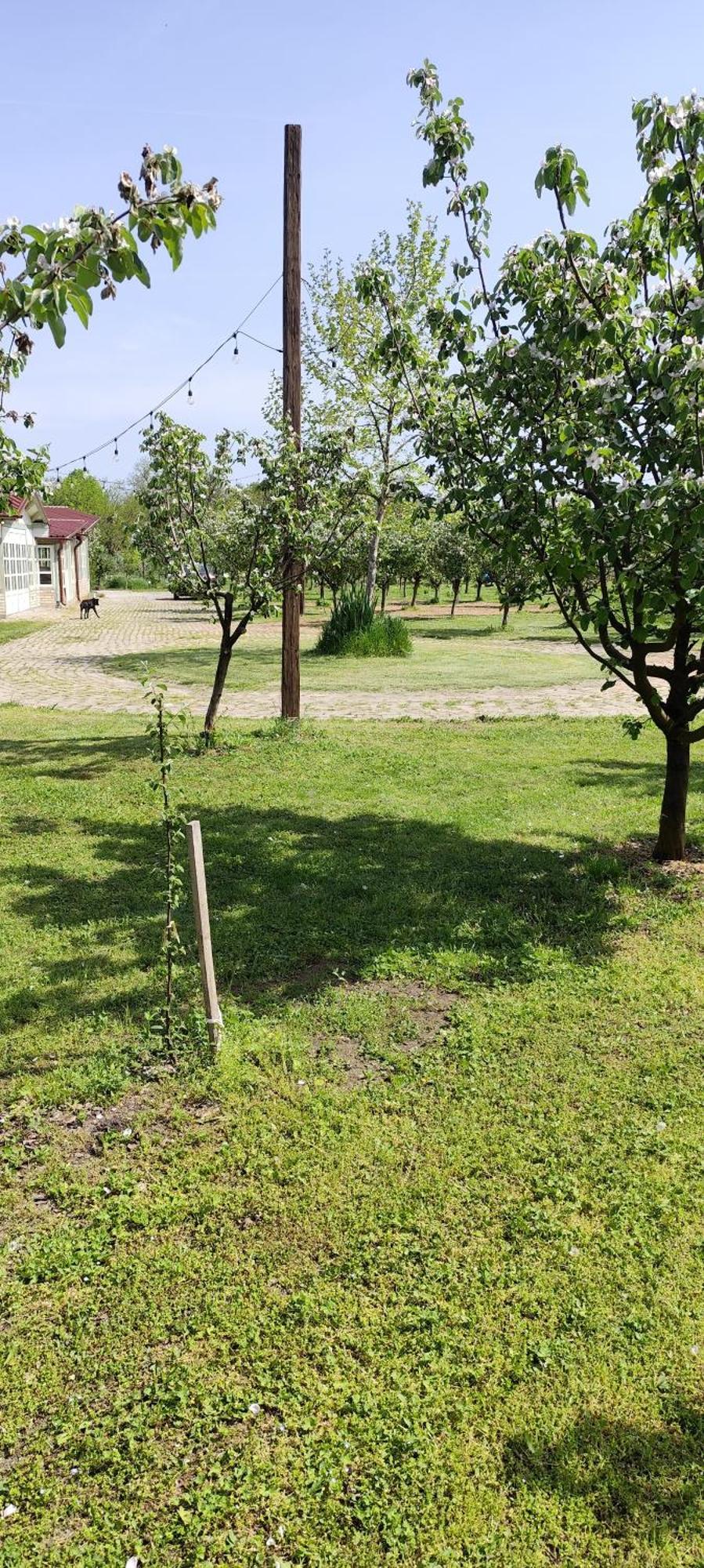 Salas Farma 47-Miris Dunja Cenej ภายนอก รูปภาพ