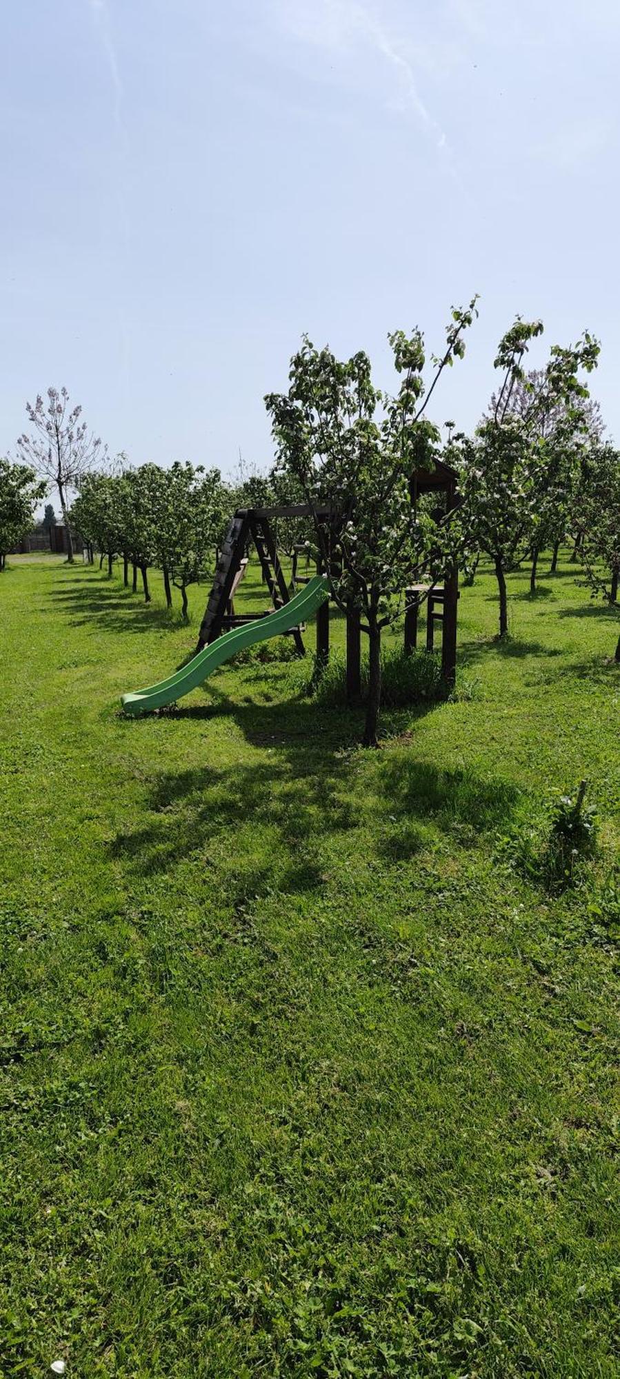 Salas Farma 47-Miris Dunja Cenej ภายนอก รูปภาพ