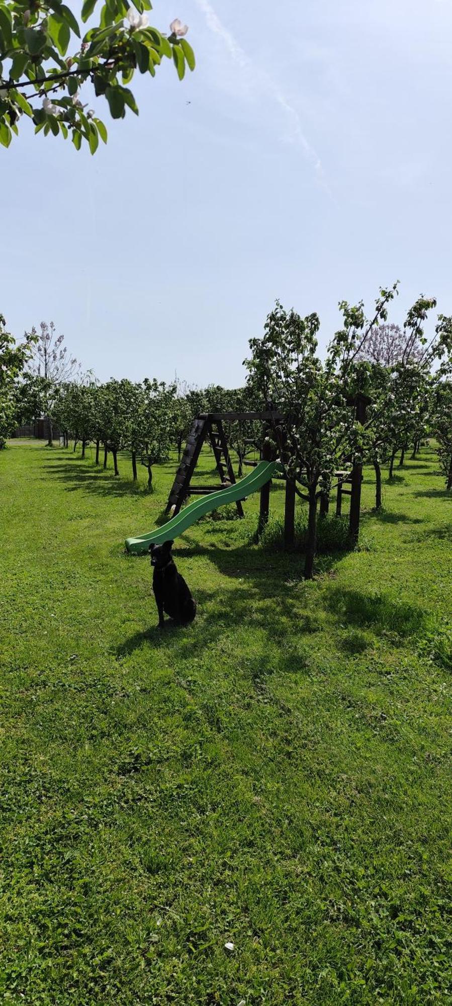 Salas Farma 47-Miris Dunja Cenej ภายนอก รูปภาพ