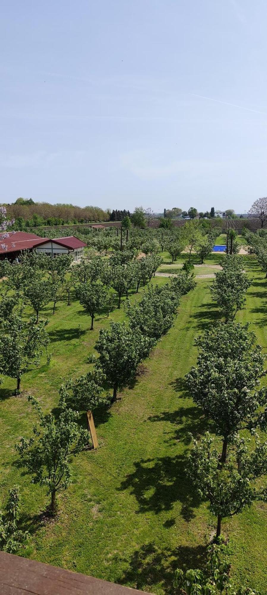 Salas Farma 47-Miris Dunja Cenej ภายนอก รูปภาพ