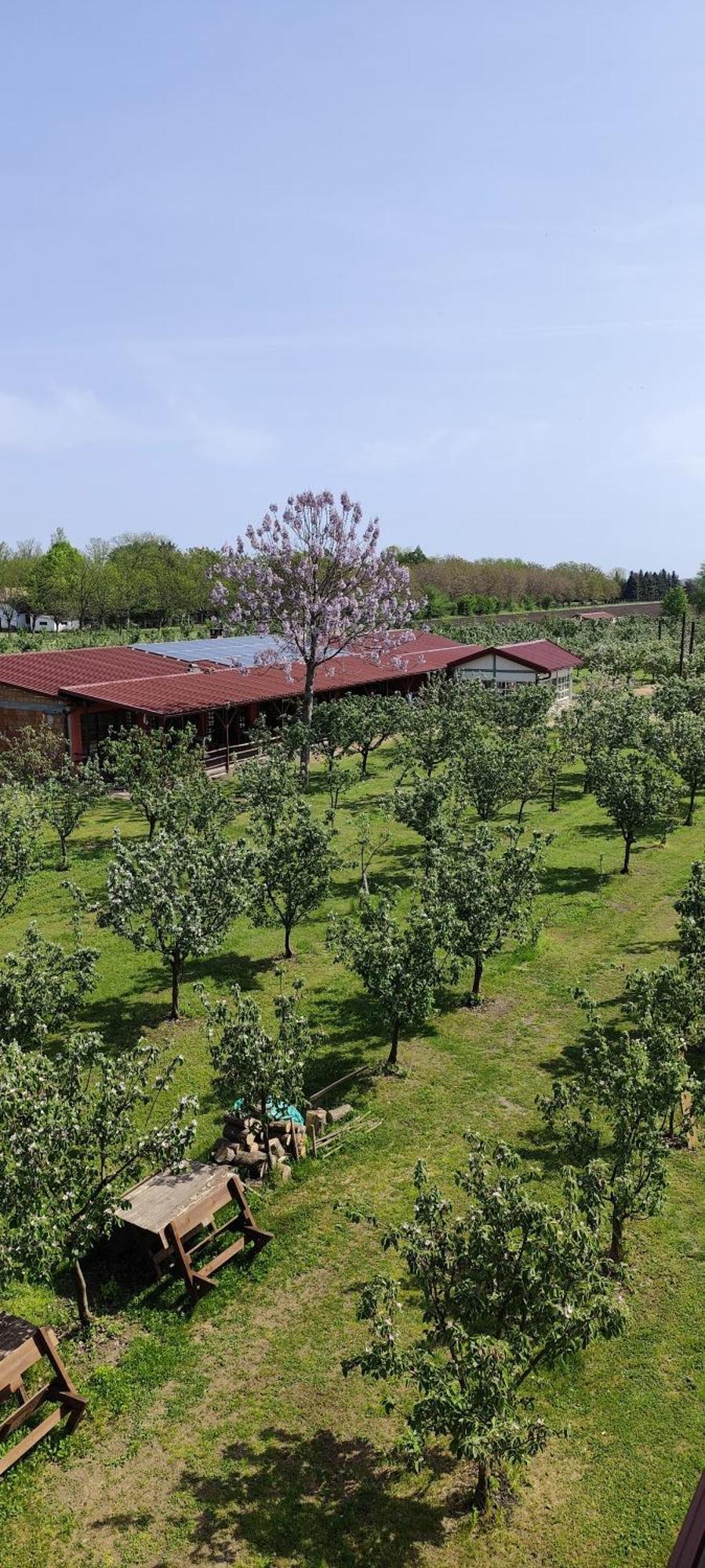 Salas Farma 47-Miris Dunja Cenej ภายนอก รูปภาพ