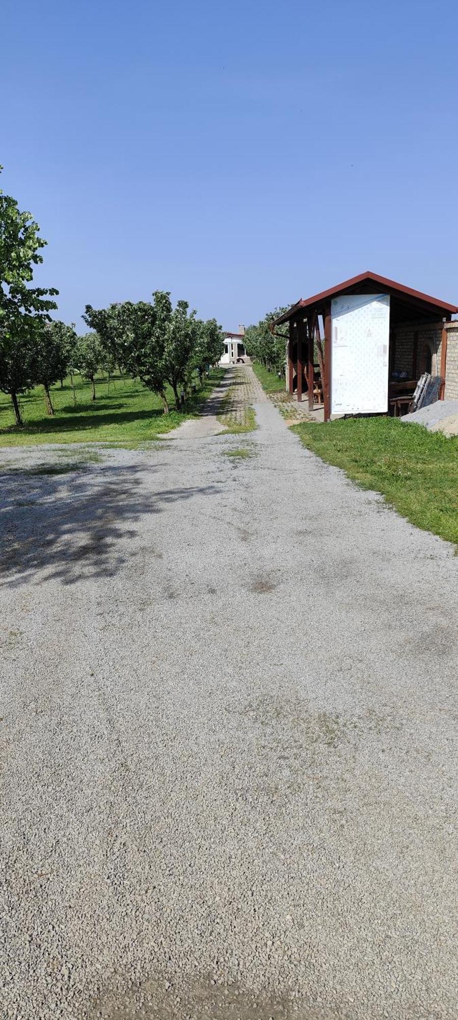 Salas Farma 47-Miris Dunja Cenej ภายนอก รูปภาพ