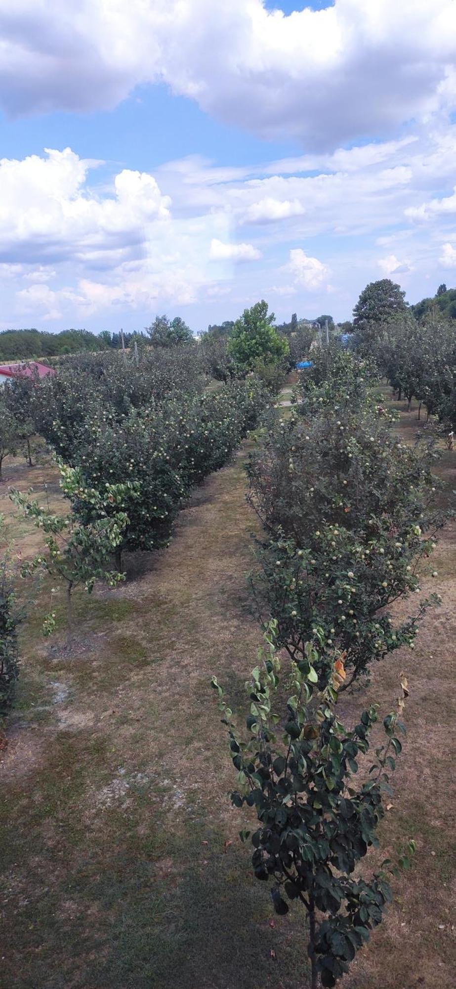 Salas Farma 47-Miris Dunja Cenej ภายนอก รูปภาพ