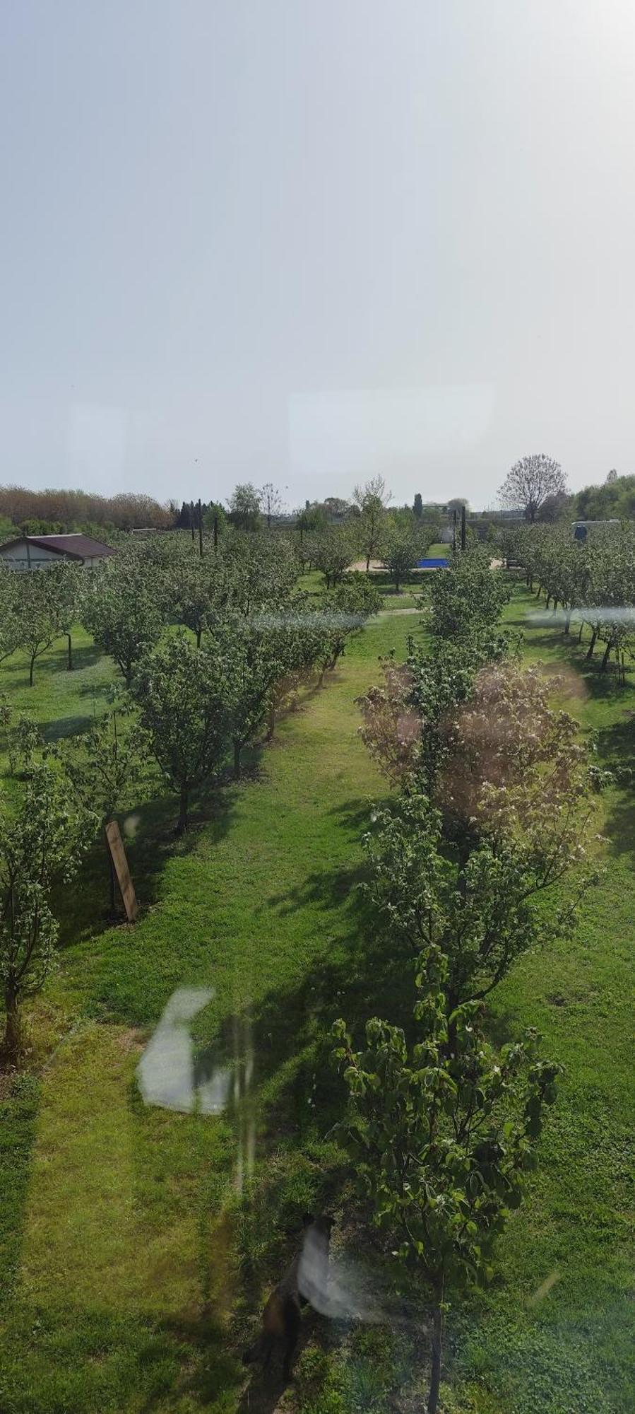 Salas Farma 47-Miris Dunja Cenej ภายนอก รูปภาพ