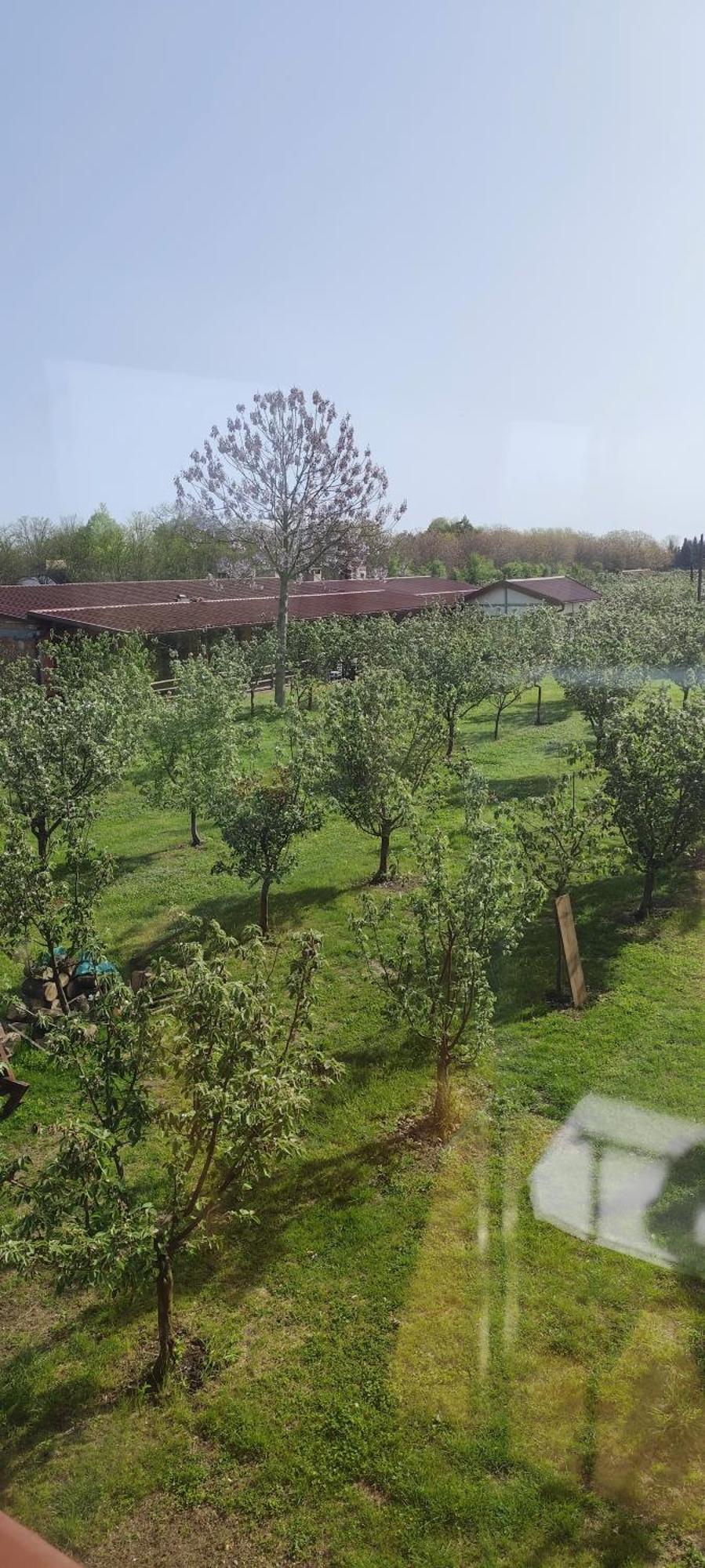 Salas Farma 47-Miris Dunja Cenej ภายนอก รูปภาพ