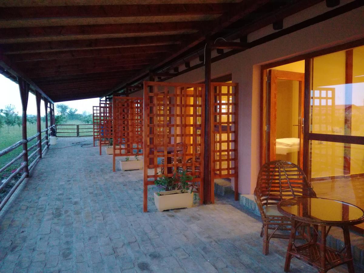 Salas Farma 47-Miris Dunja Cenej ภายนอก รูปภาพ